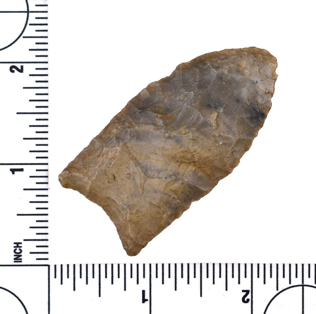 Extra Fine 2 3/8" Clovis - Partain & Putty COA's: Well made example in well patinated multi-toned banded Western Kentucky Hornstone. Fluted equidistant over 50% on both sides. Found in Jefferson Co., Kentucky near Louisville. Ex- Ben Hamilton Collect