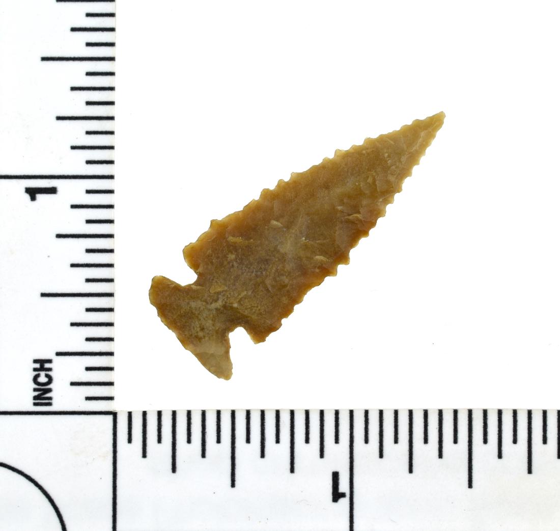 Fine 1 1/2" G-9+ Edwards: Nice serrated example. Brown Chert with great translucency. Found in Texas. Ex- Harold French Collection.