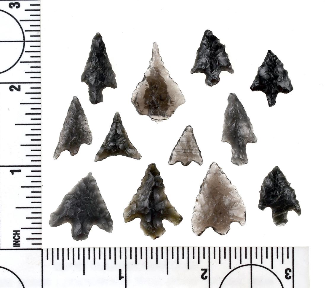 12 Obsidian Birdpoints: All nice. Most translucent and easily recognizable types. All under 1". Oregon and California.