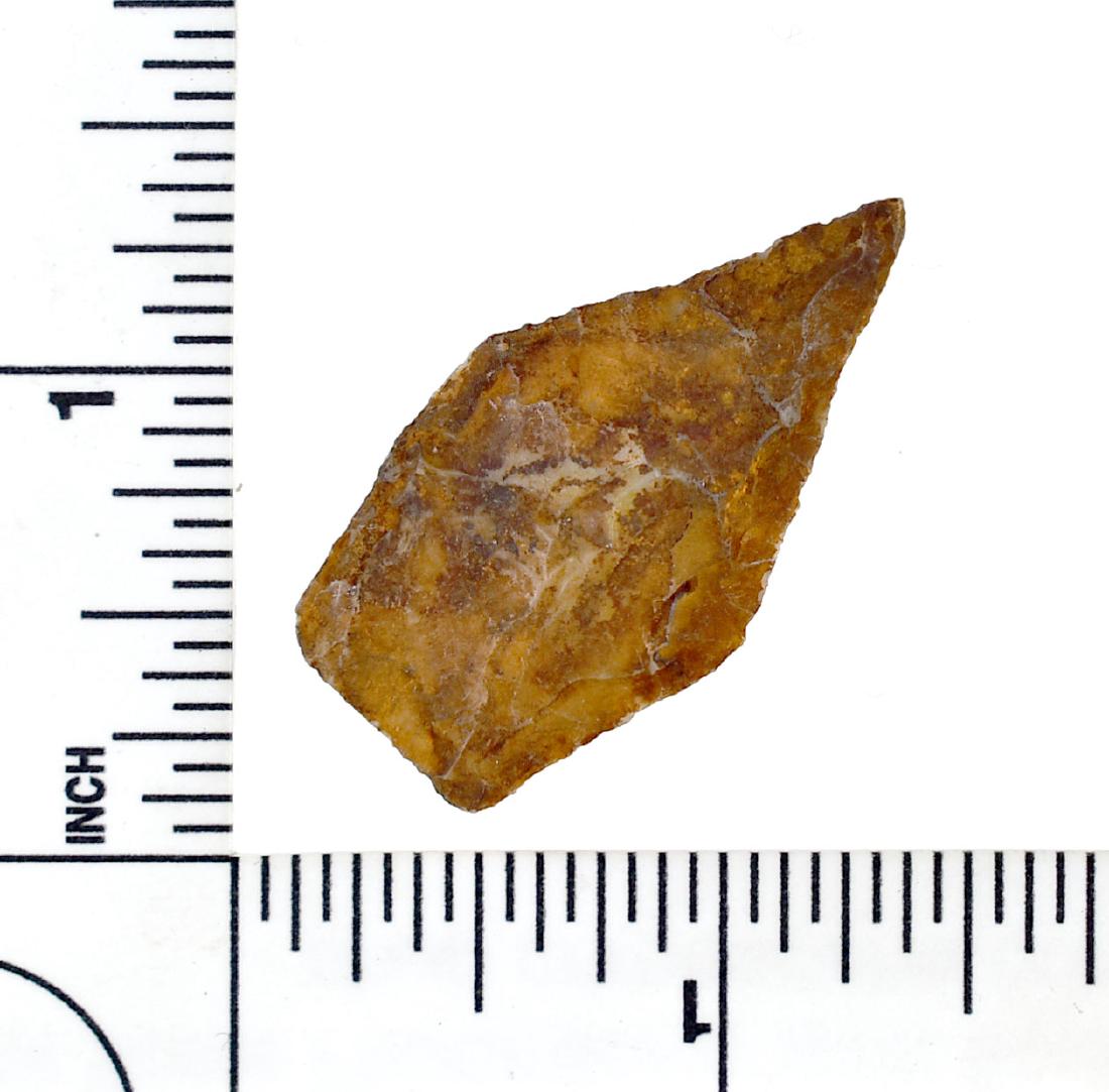 Rare 1 1/2" Jacks Reef Pentagonal: Thin and excellent. Perfect symmetry. Creek stained Boyle Chert. Bath Co., Kentucky. Ex- Jackson Collection.