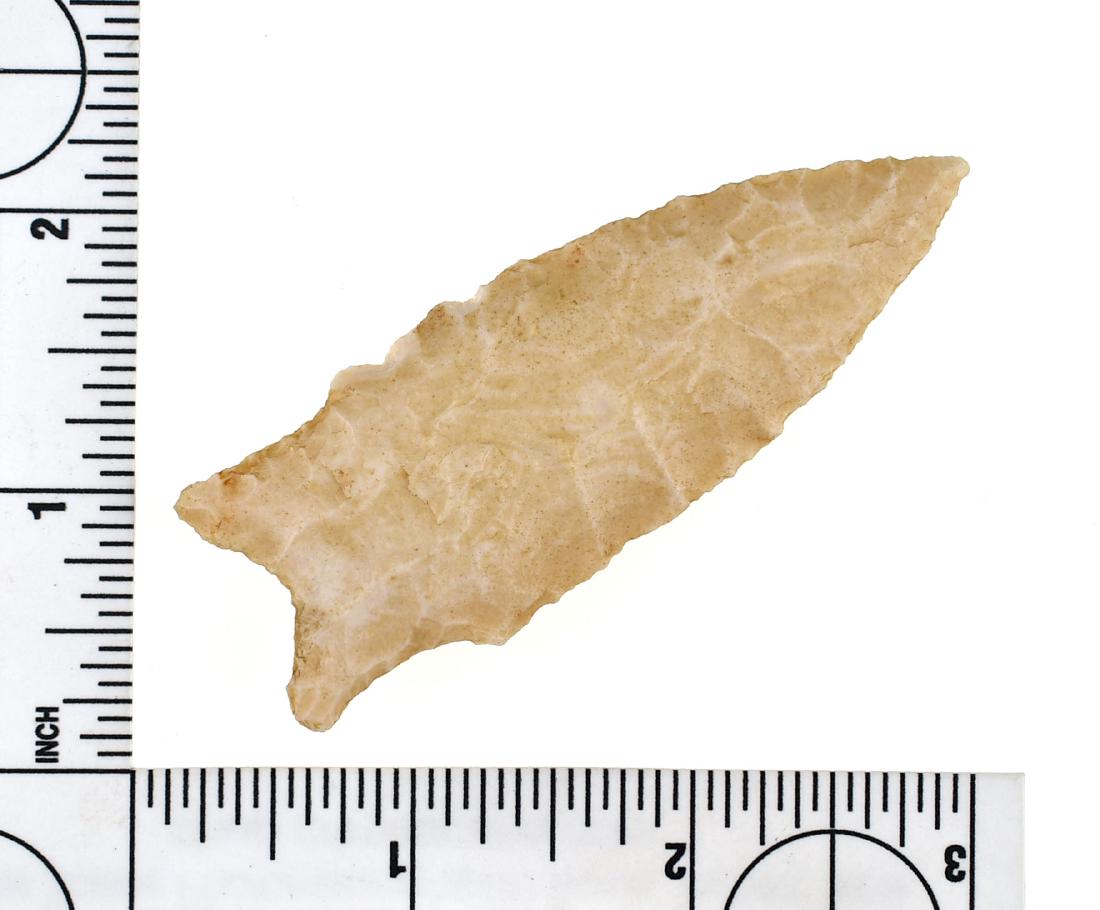 3 1/8" Holland - Rogers COA: Nice creamy Burlington chert piece from Missouri. Ex Meyer Collection. Rogers COA.