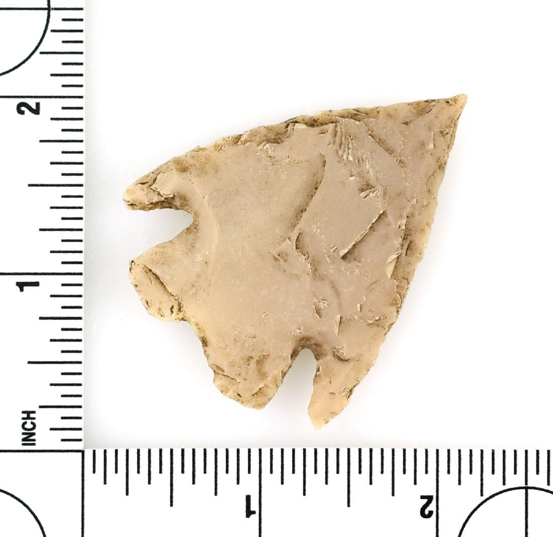2 3/16" Castroville - Rogers COA: Central Texas example in Edwards Plateau Chert. Ex - Meyer Collection. Rogers COA.