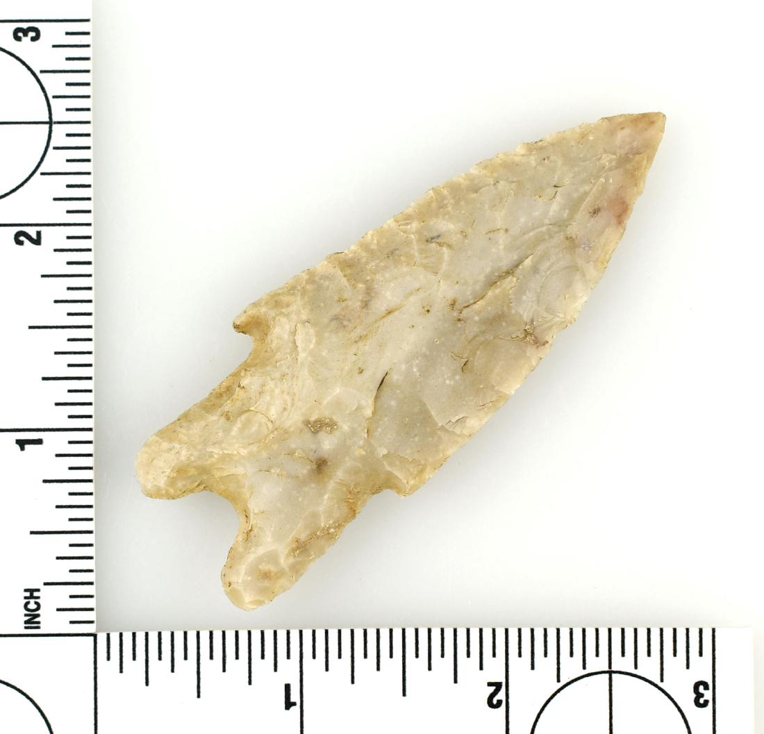 3 3/16" Pedernales - Partain COA: Ex Debra Daws, Meyer Collections example from Falls Co., Texas. Edwards Chert. Partain COA.