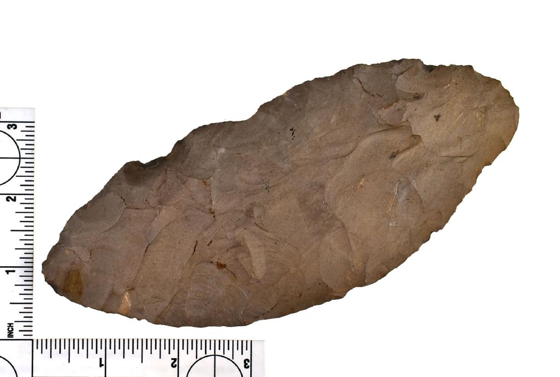 6 7/8" Preform Blade - Jackson COA: Large blade from Henry Co., Tennessee. Fort Payne Chert example. Jackson COA.