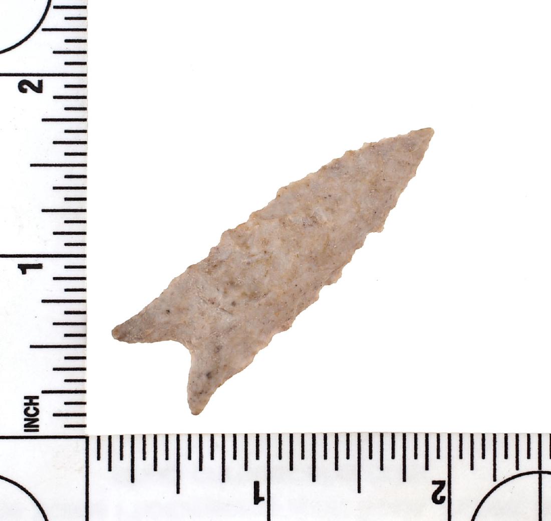 2 1/8" Dalton Classic: Lincoln Co., Missouri example. Ex - Meyer Collection. Cream Fossil Chert.