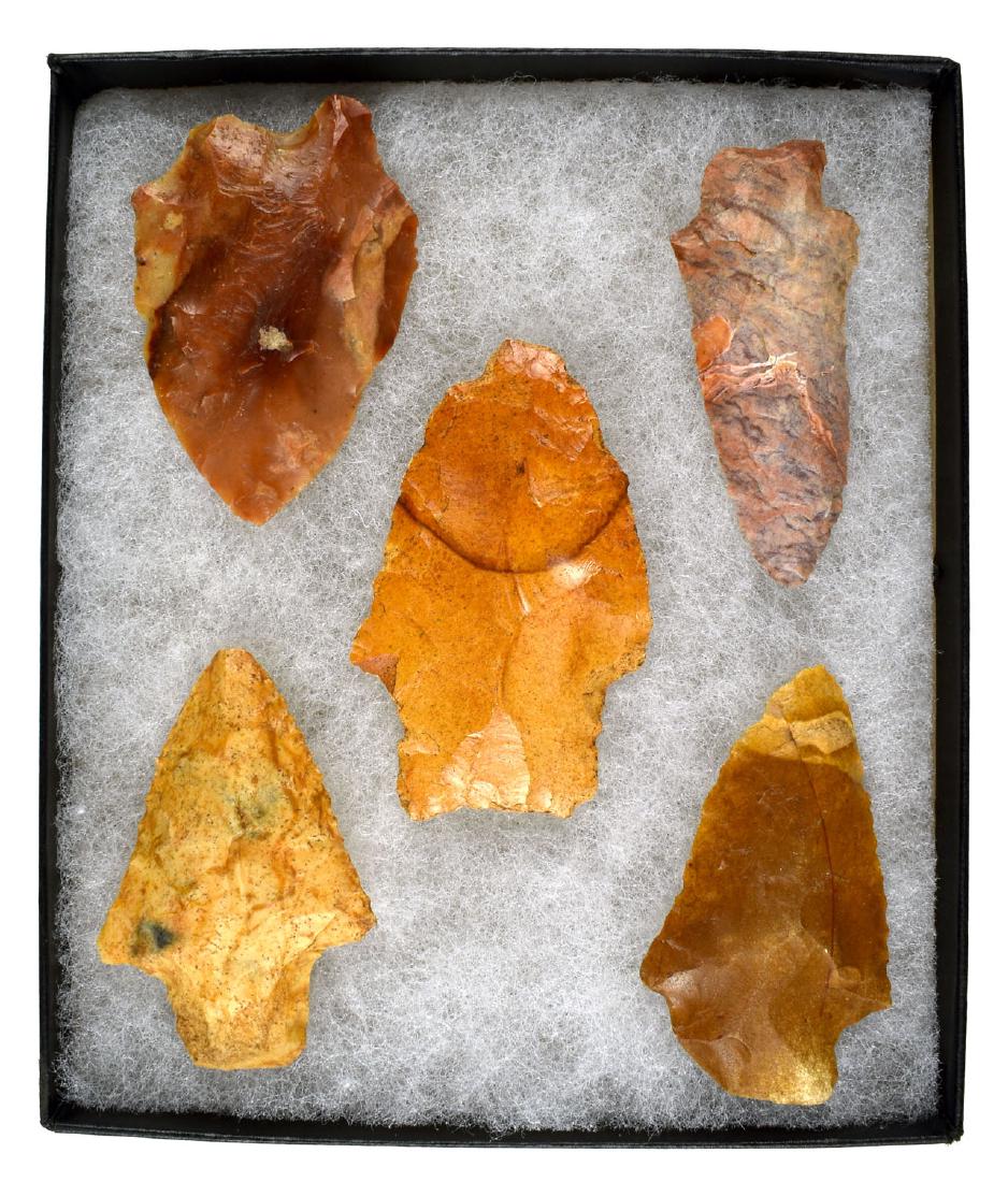 5x6 Display of Georgia Points: Great arrangement of 5 nice river stained points from Georgia. Savannah River, Six Mile Creek, and others represented.