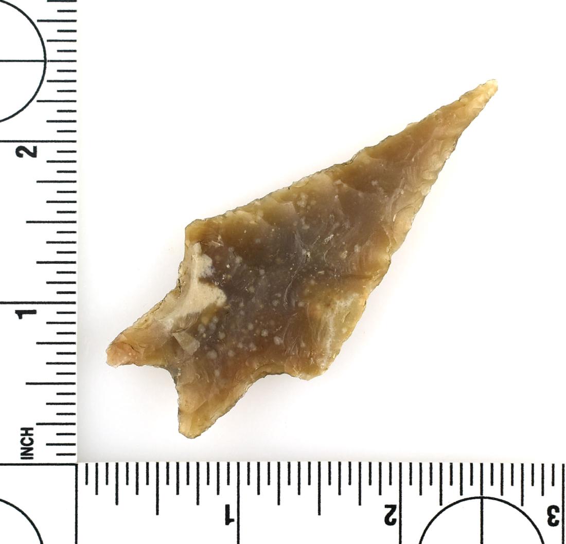 3" Pedernales - Rogers COA: Root Beer Edwards chert example from Kendall Co., Texas. Ex - Meyer, John Fish Collections. No-brainer.