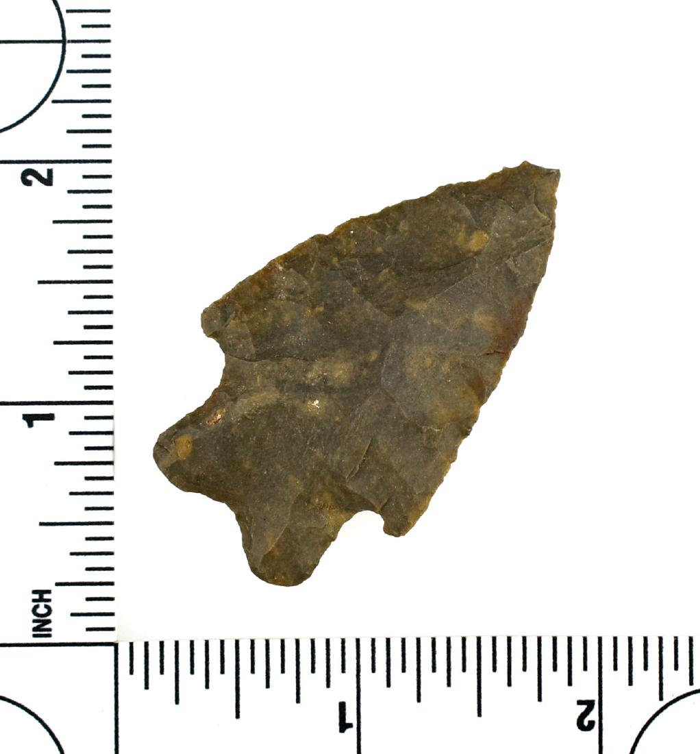 2 1/8" BiFurcated Archaic Point: Fossil chert example from Tennessee. Ex - Meyer Collection.