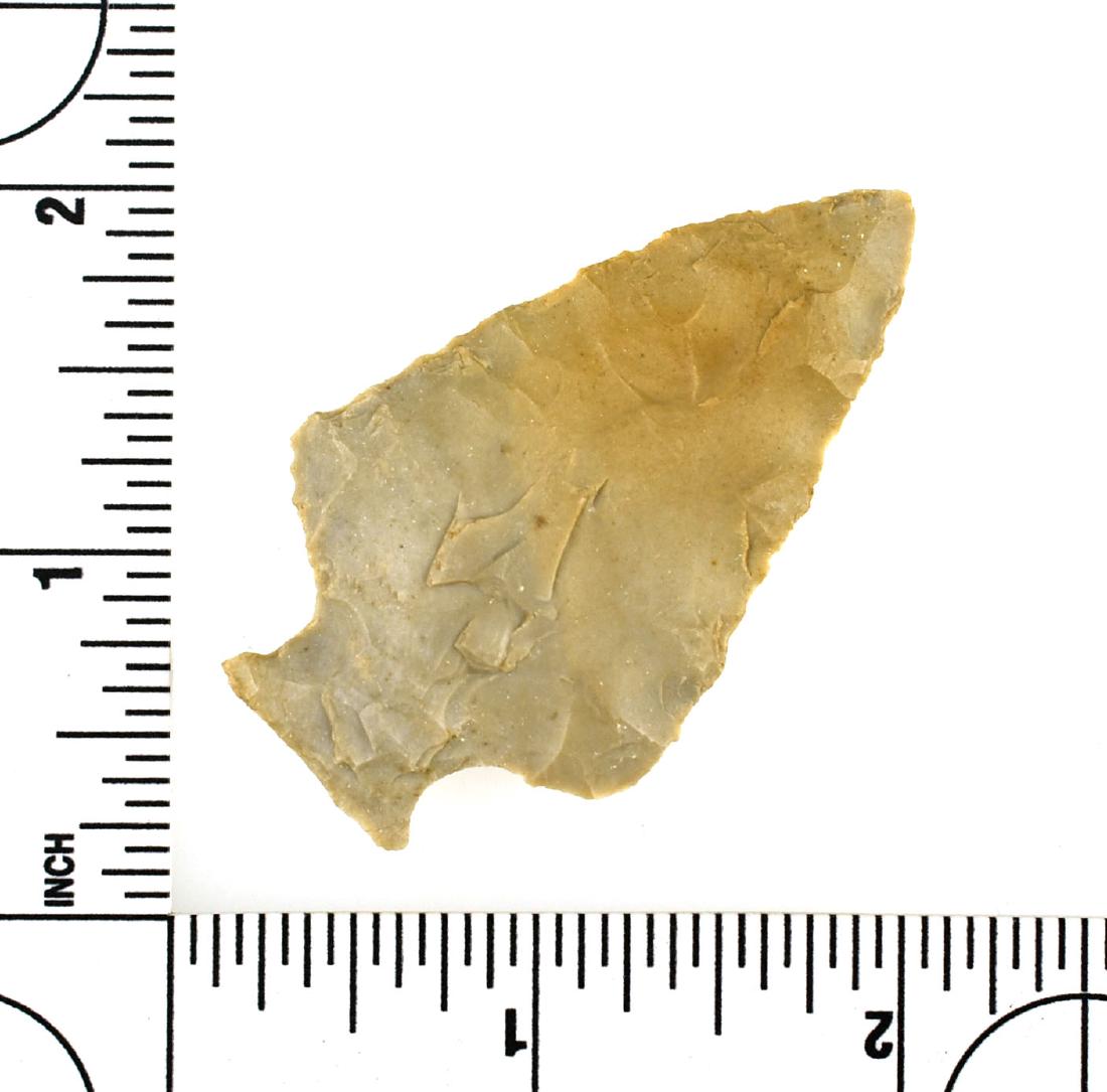 2 1/4" Table Rock: Cream fossil chert example from Illinois. Ex Meyer Collection.