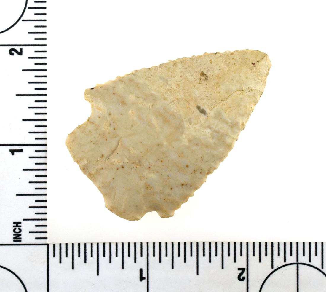 2 3/16" Archaic Stemmed: Mottled Cream flint example from the Meyer Collection.