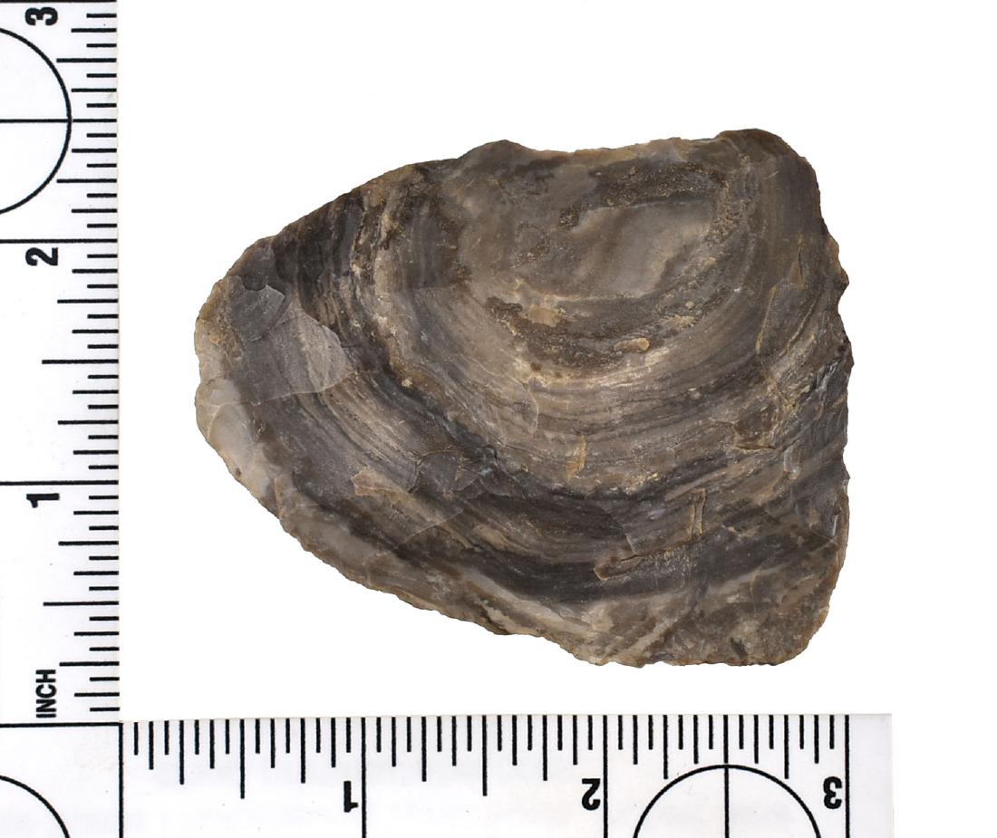 2 5/6" Preform Blade: Pretty swirled Mozarkite material from Missouri. Ex Meyer Collection.