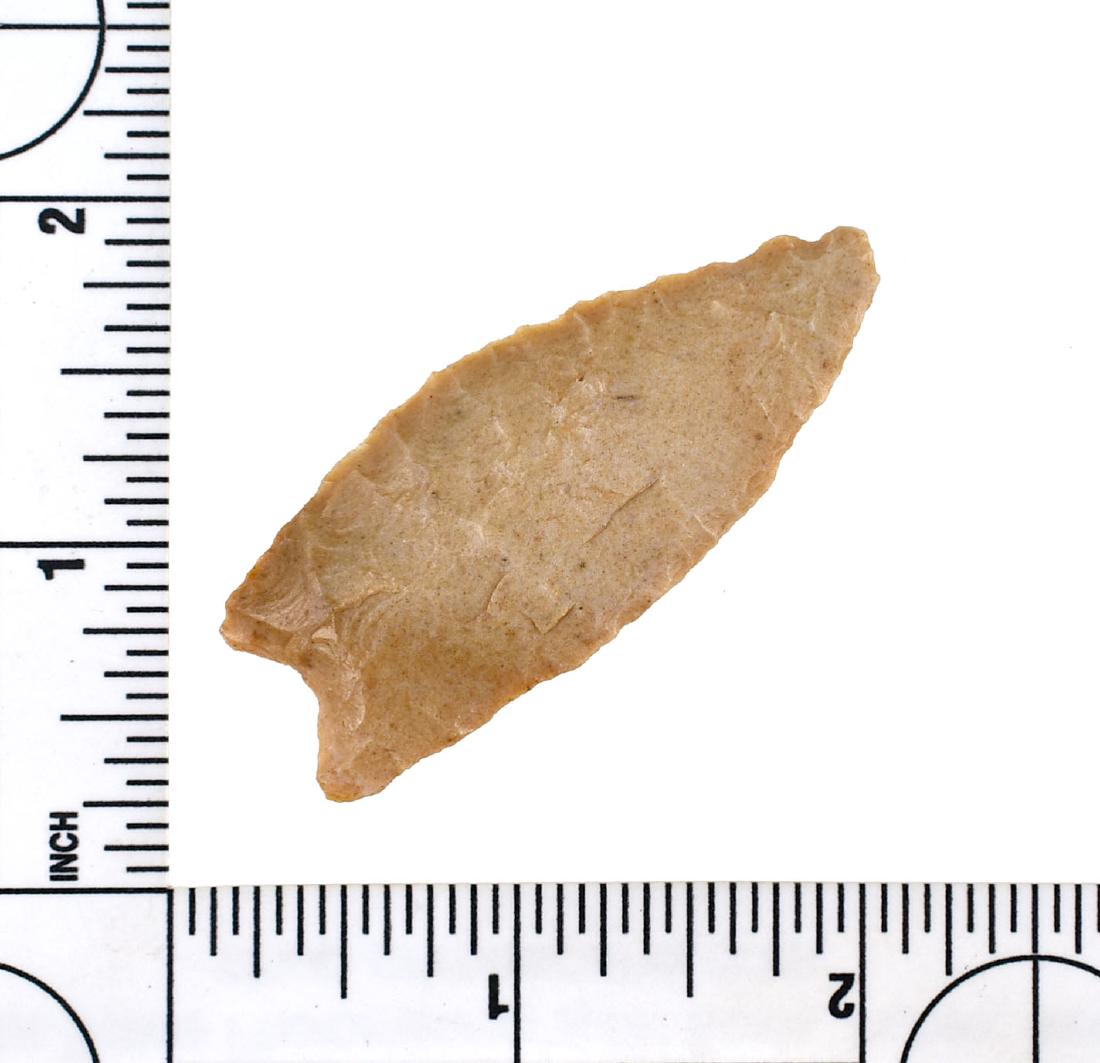 2 1/4" Dalton: Missouri example in cream fossil chert. Ex Meyer Collection.