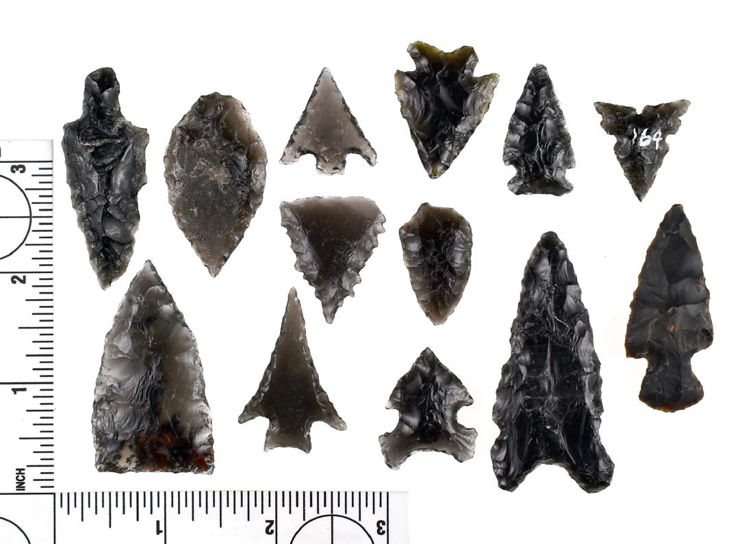 Baker's Dozen of 13 Obsidian points: Largest measures 2 1/4". Various types. Lots translucent. A couple have collector's glue residue. Western States examples.