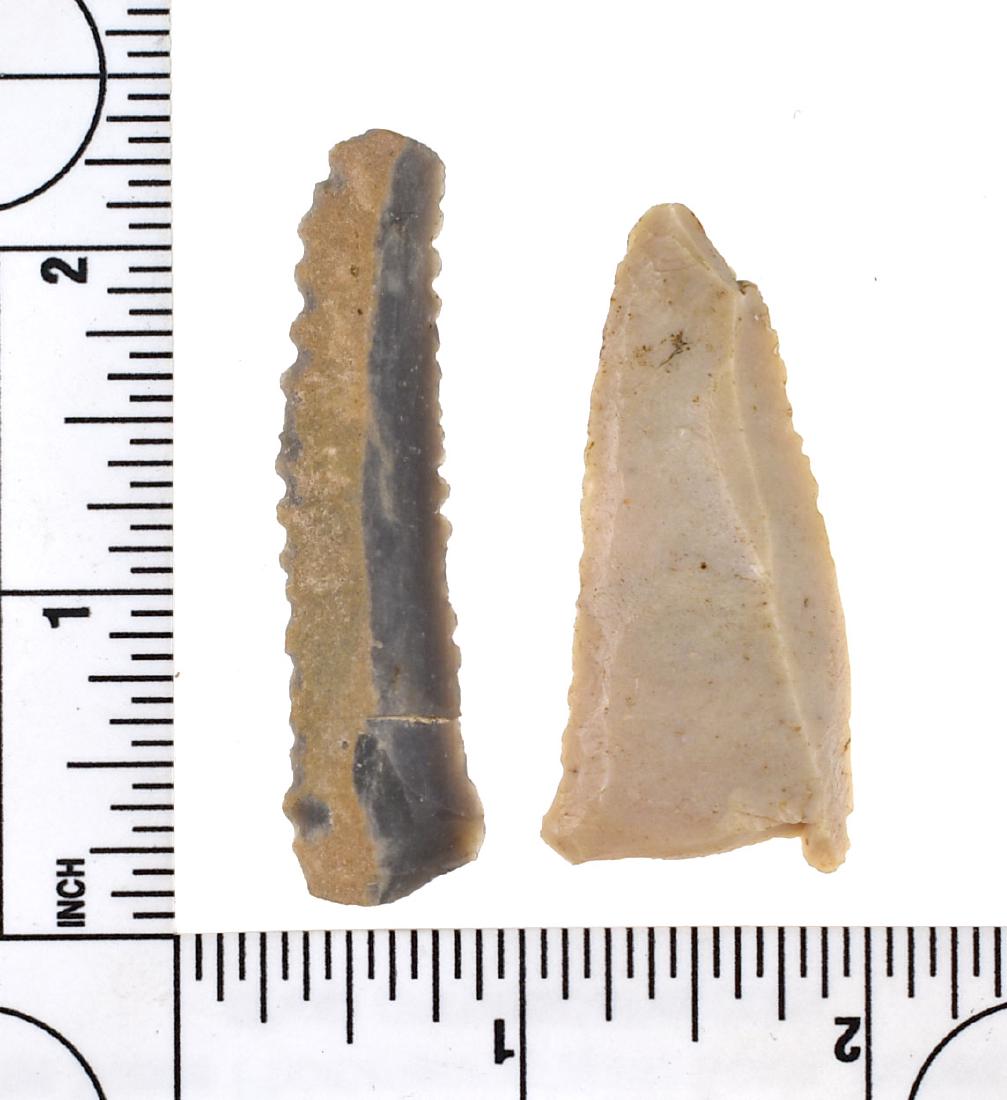 Pair of Fine Kentucky Paleo Tools: Small 2 1/4" saw made of Hornstone finely serrated the length of both edges. And a 2" creamy Carter Cave uniface knife with fine edgework along both blade edges. Both part of a classic 'Clov