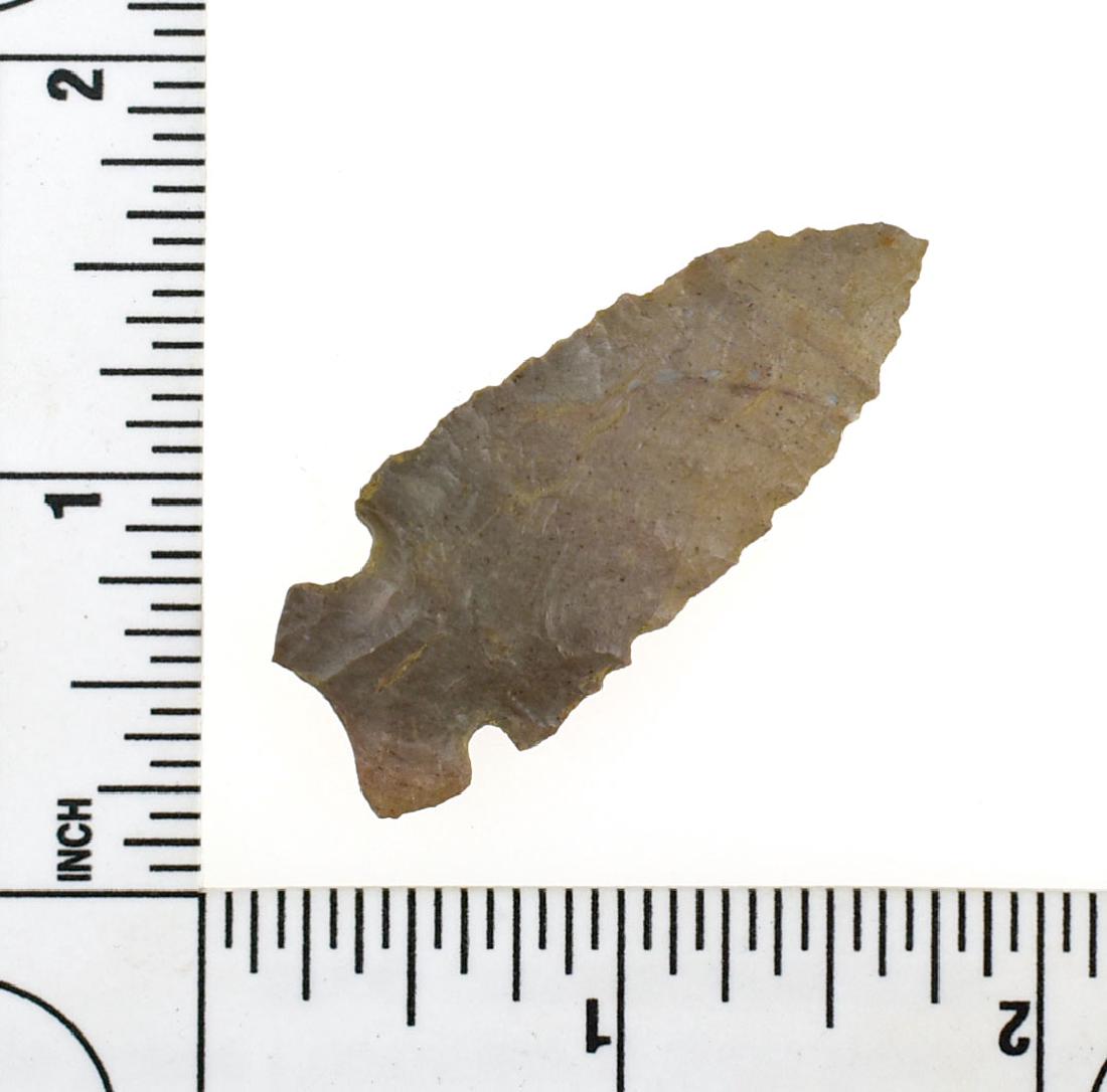 1 7/8" Big Sandy: Fossil chert piece from Todd Co., Kentucky. Ex - Meyer Collection.