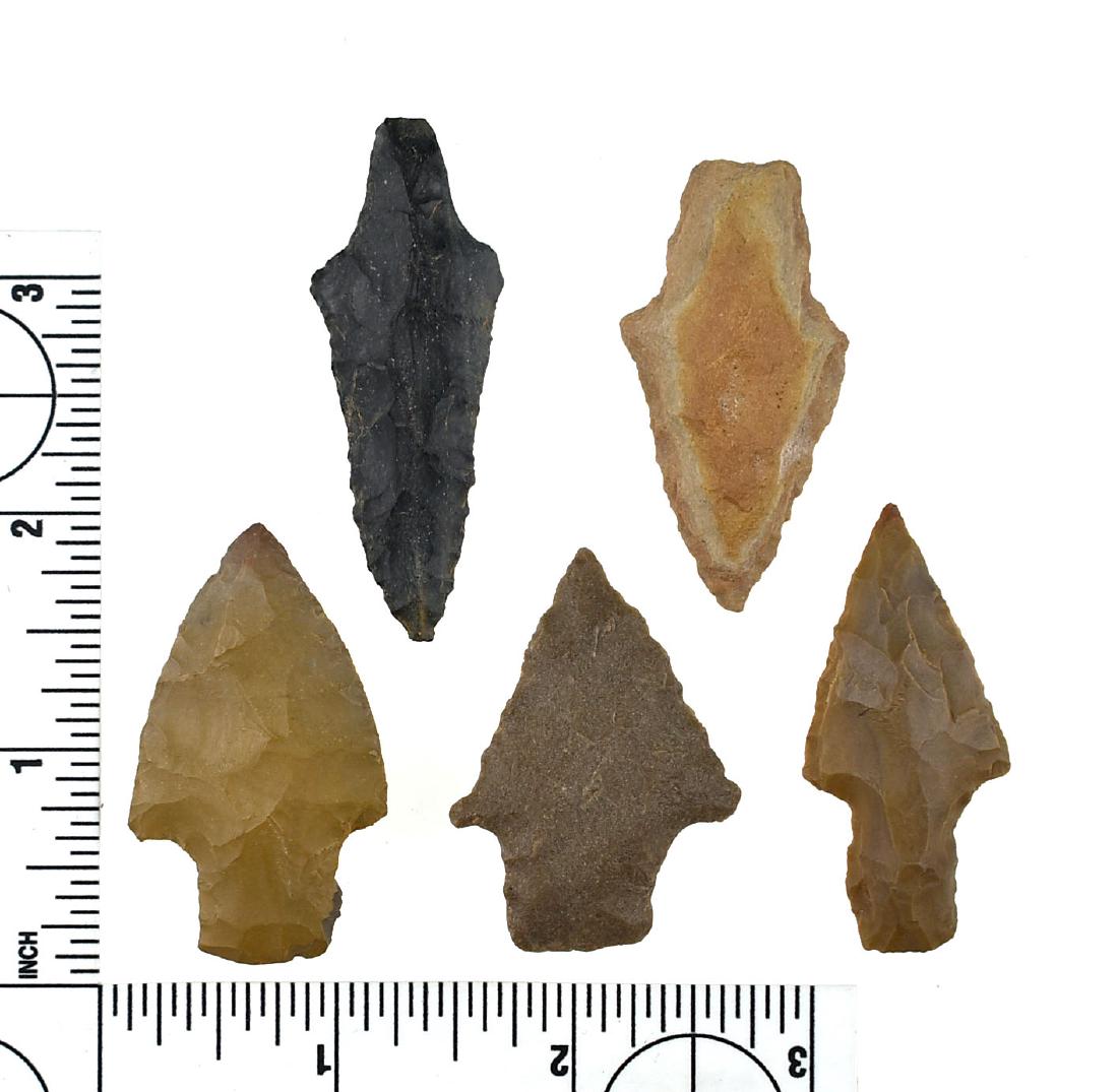5 Oklahoma Garys: Nice grouping from SE Oklahoma. Ex Moon Collection.