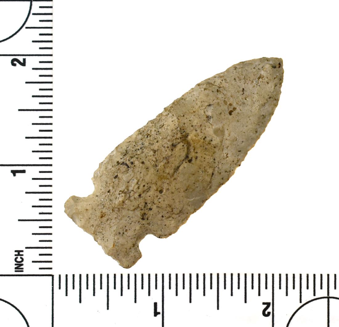 2 7/16" Archaic Side Notch (1 of 2)