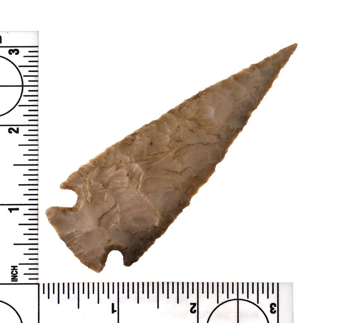 World Class 3 7/8" Williams (1 of 2)