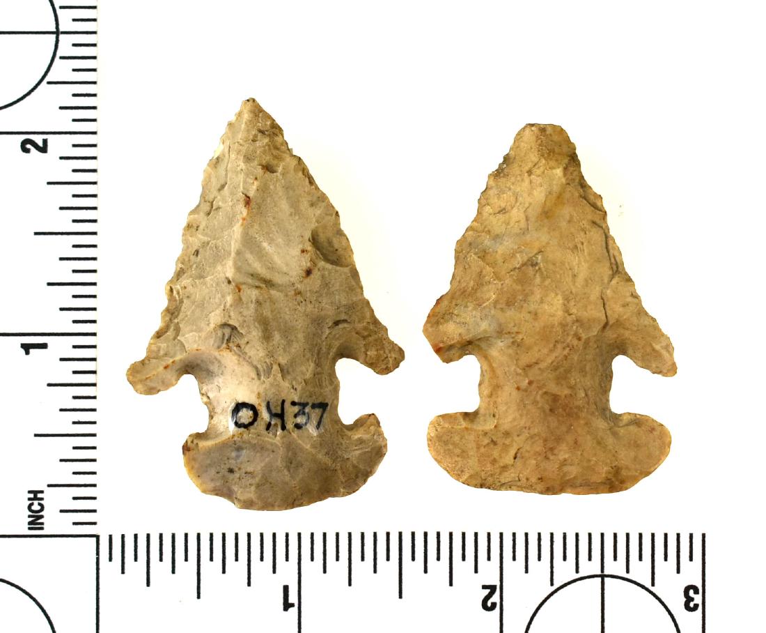Pair of nice Ohio Thebes (1 of 2)