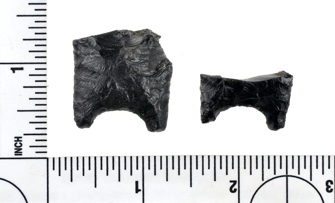 Pair of Great Basin Obsidian Clovis Bases (1 of 2)