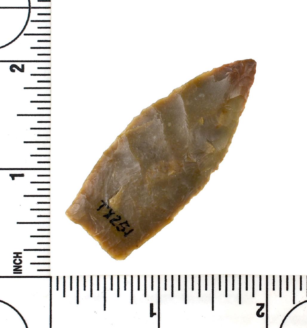 2 3/16" Angostura (1 of 2)