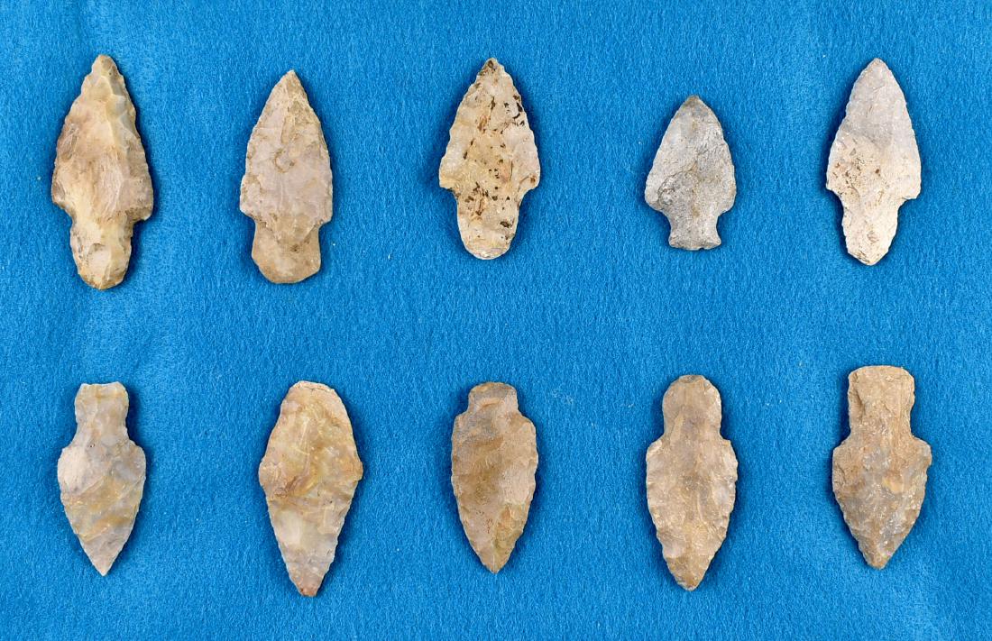 10 Extra Fine Kentucky Adenas (1 of 1)