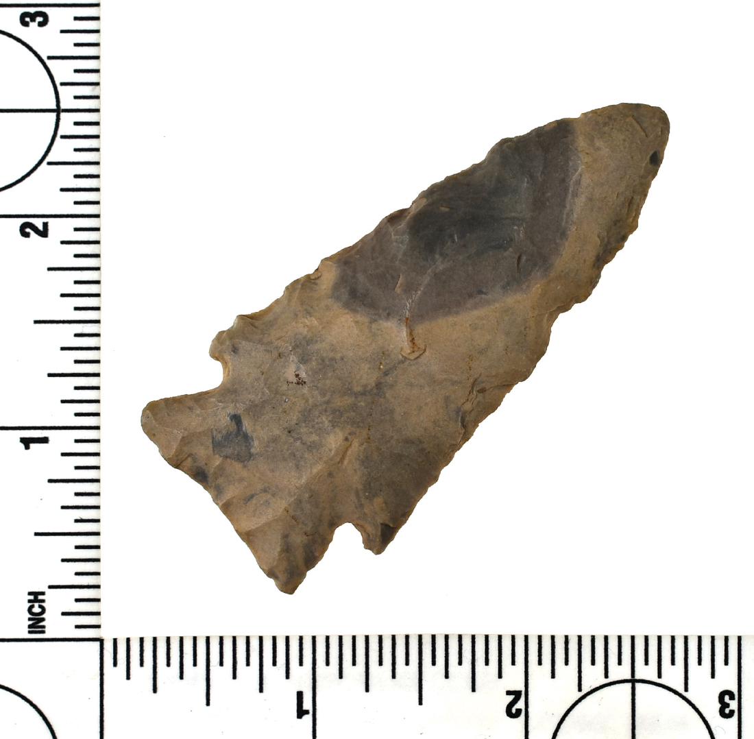 2 13/16" Stilwell: Boone Chert example from Franklin Co., Missouri. Ex Meyer Collection.