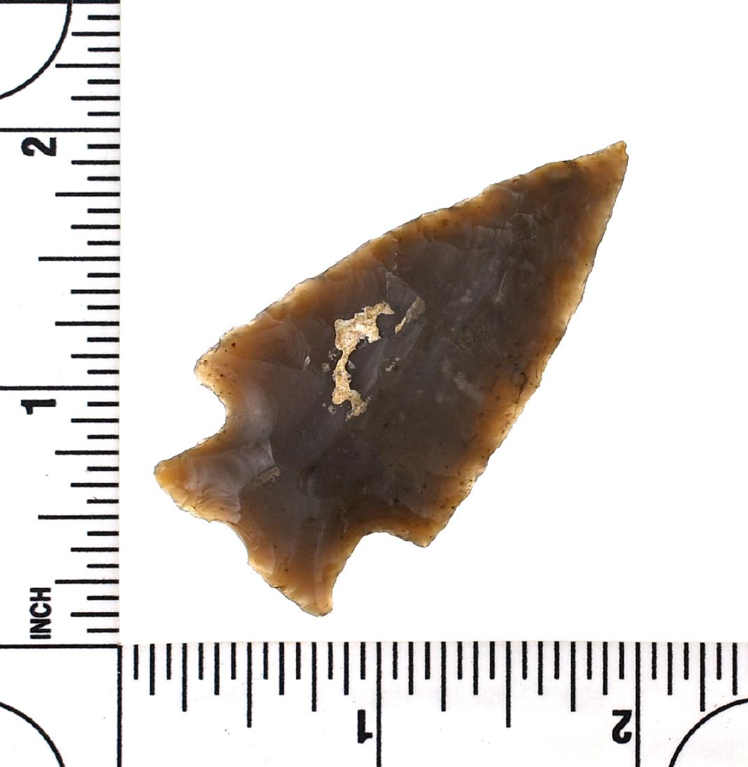 2 3/16" Ensor (1 of 2)