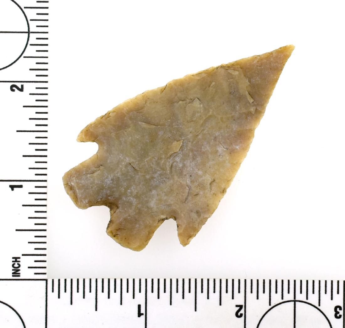Killer 2 11/16" Montell - Jackson G-10 COA: Thin and simply excellent with perfect symmetry and a long extended needle tip. Made of high grade Edwards Plateau Chert with lots of translucency. Found by David McIntosh along Delaware Creek in Blan