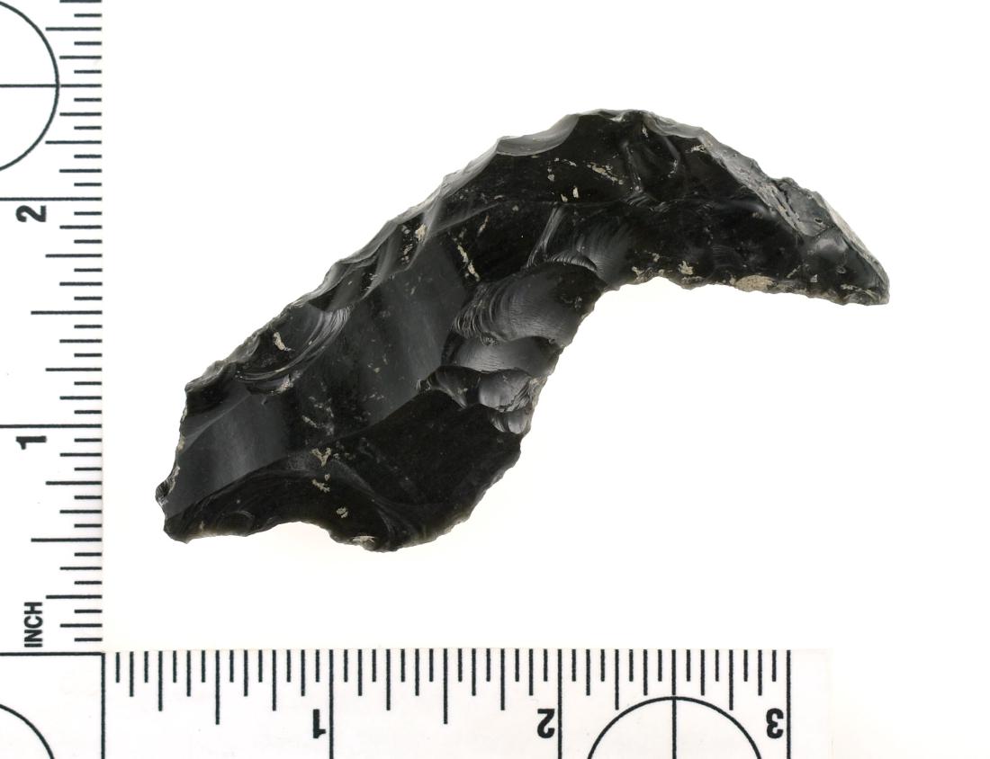 3 5/16" Teotihuacan Claw: Hafted with others in a 'Jaguar Paw' configuration for battle. Mexico. Ex Meyer Collection.
