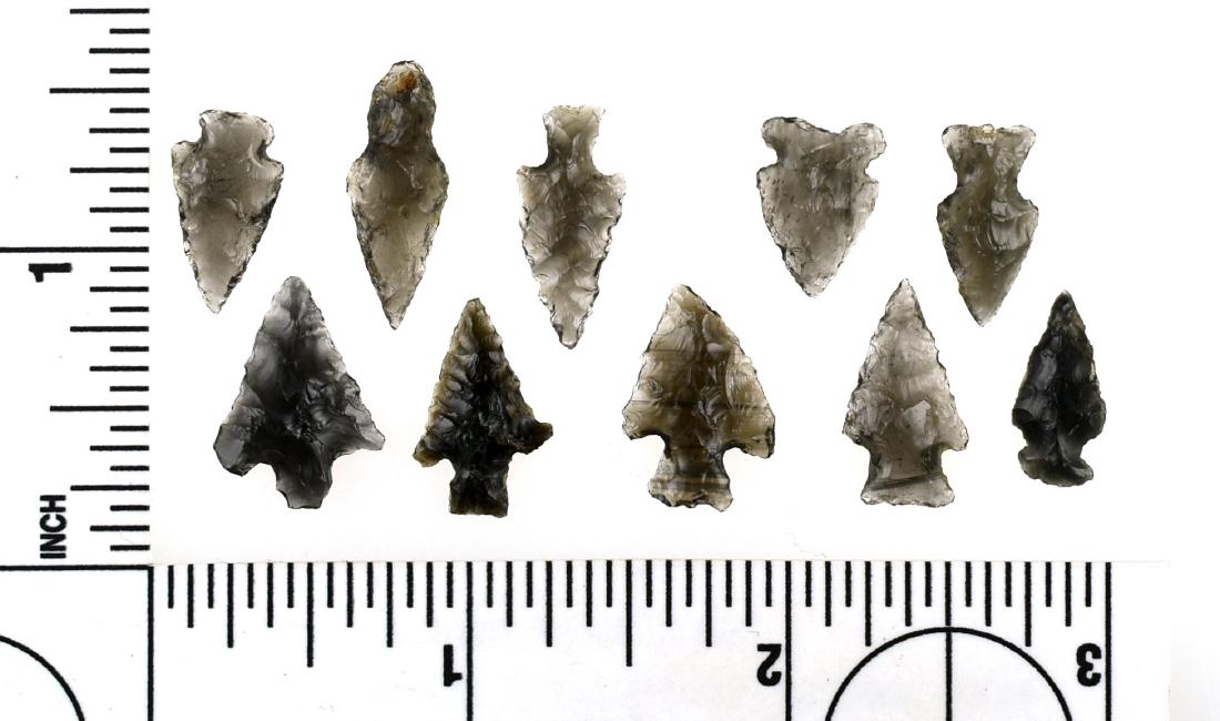 10 Obsidian Birdpoints: Great Basin types in the 1/2"+ Range.