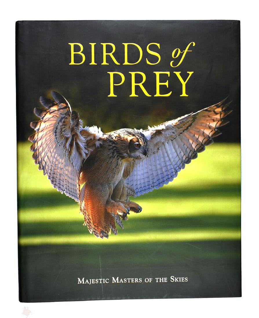 Birds of Prey: Massive coffee table book. Perfect Dust Cover.