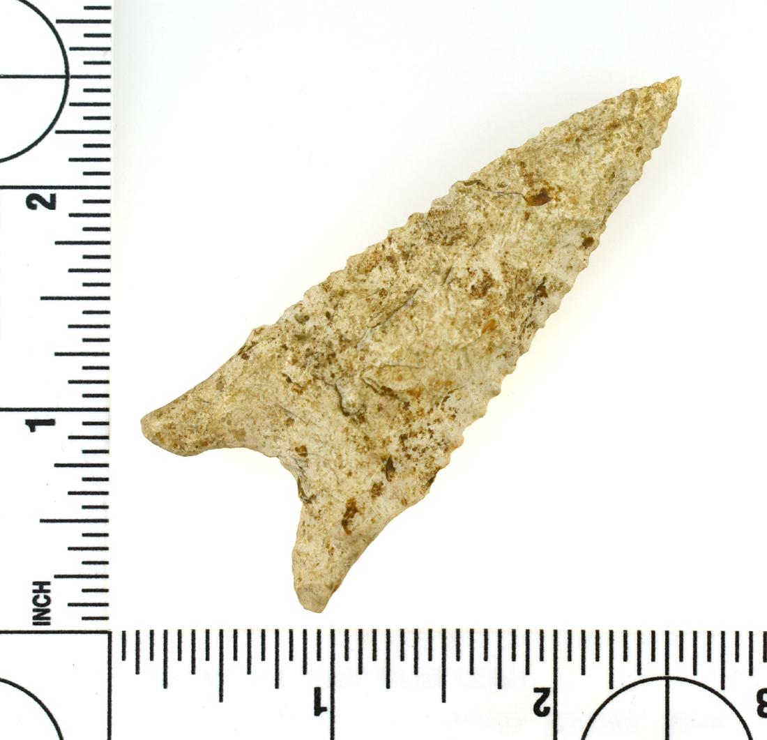2 7/8" Dalton - Berner, Jackson COAs: Nice no-brainer example loaded with mineralization from Johnson Co., Illinois. Ex Ron Larson, Bart Smith, Janitschek Collections. John Berner COA. Burlington.