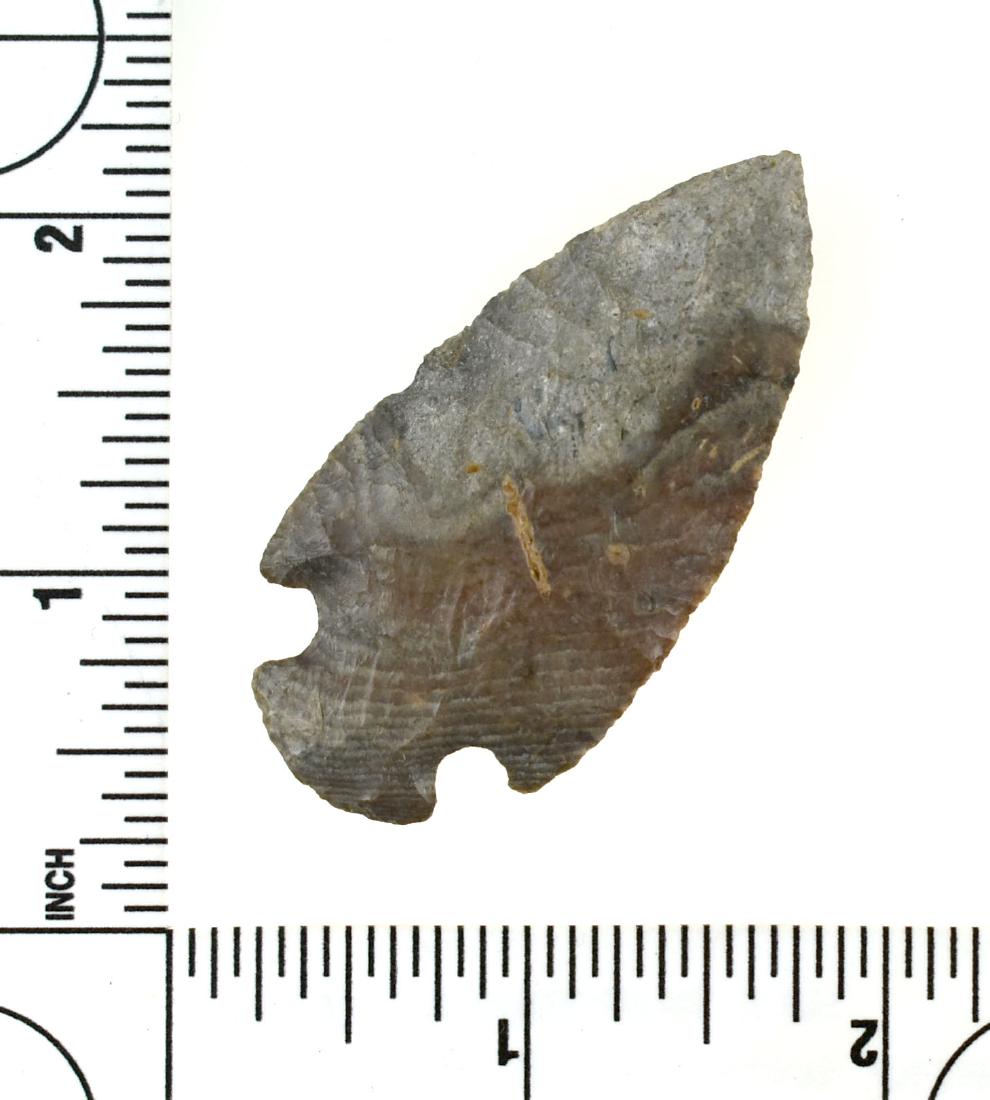 2 1/4" Mount Albion: Exceptional river polish on this Kay County Chert example from Riley Co., Kansas. Ex Dan Fox Collection.