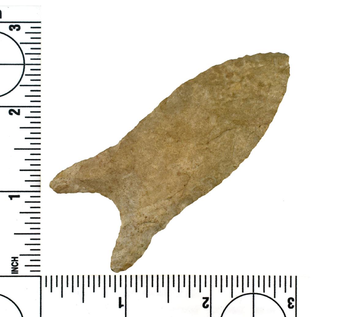 3 1/4" REWORKED Paleo Point: Made of Fort Payne Chert. Good old oxidized plow strike but the edges and the base appear new to us. From an old Fayette County, Kentucky collection. Sold as a decorative only 'reworked' point in our 
