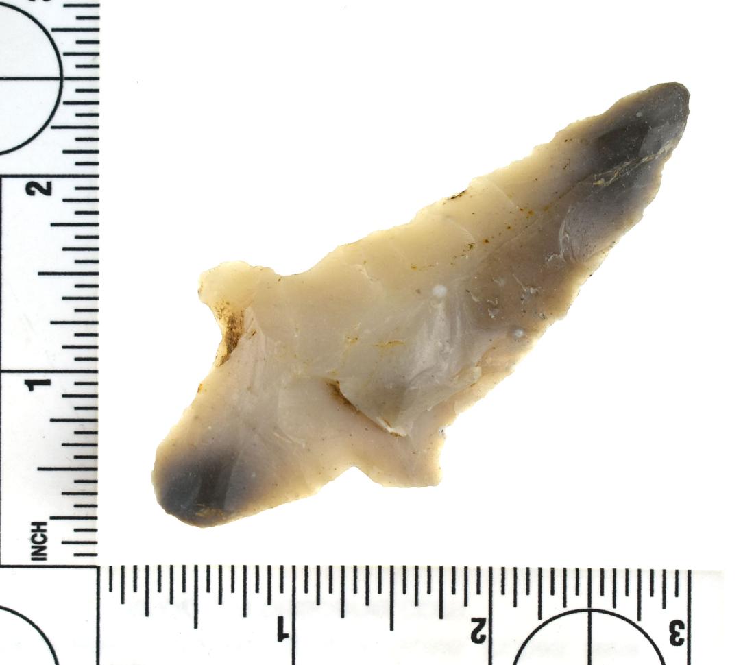 3 3/8" Arkansas Novaculite Gary: Translucent black and white Novaculite example of a Gary knife with good size. Found in St. Francis Co., Arkansas.