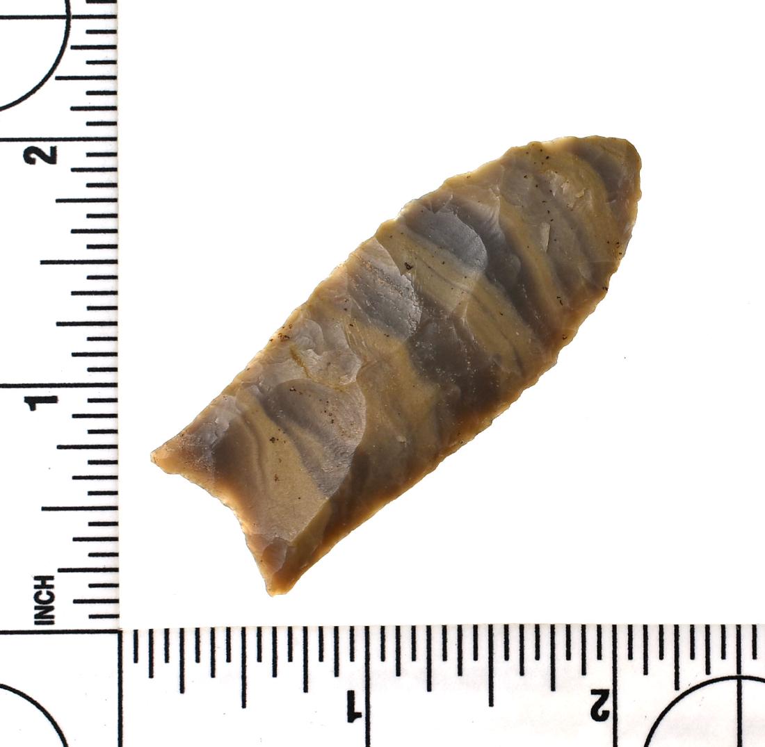 2 5/16" Barnes Variety Clovis - Jackson G-10 COA: Excellent example from Huron Co., Ohio with Superb 'eye appeal'. Formerly of the Warren Grow Collection. Really stands out in a frame!! Jackson G-10 COA.