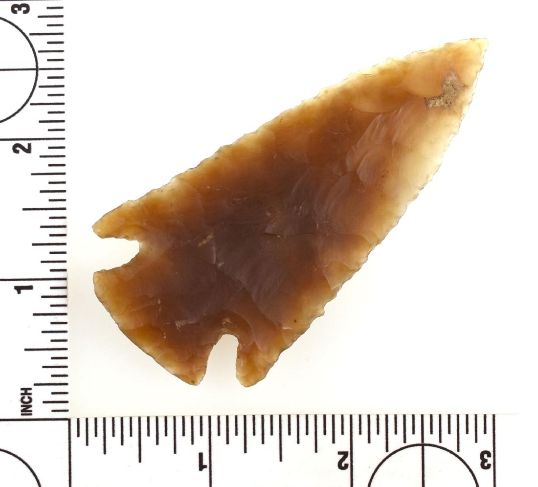 3 5/16" Pelican Lake - Jackson G-10 COA: Made of highly translucent brown Agate. Great size, symmetry, and thinness. Mountrail Co., North Dakota. Ex- Anderson Collection.