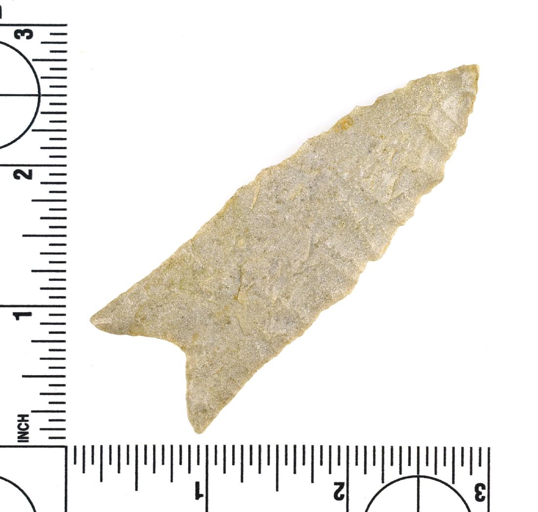 Ultra Thin 3 1/4" Dalton: Made of beautiful glossy creamy colored Oolitic chert with lots and lots of tiny bubbles (oolites). Ultra thin and well flaked. Found in Butler Co., Missouri. Ex- Price Collection.