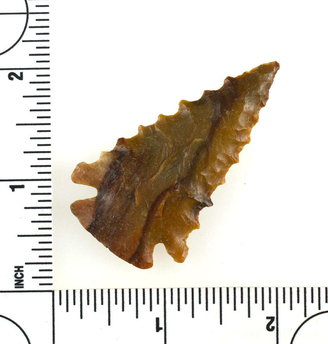 Outstanding 2 1/4" Pinetree: Extra pretty diagonally Carter Cave with nice translucency around the perimeter. Great symmetry. Great flaking. Lethal serrations. This one has it all. Found in Clark Co., Kentucky. Ex- Rogers Collect