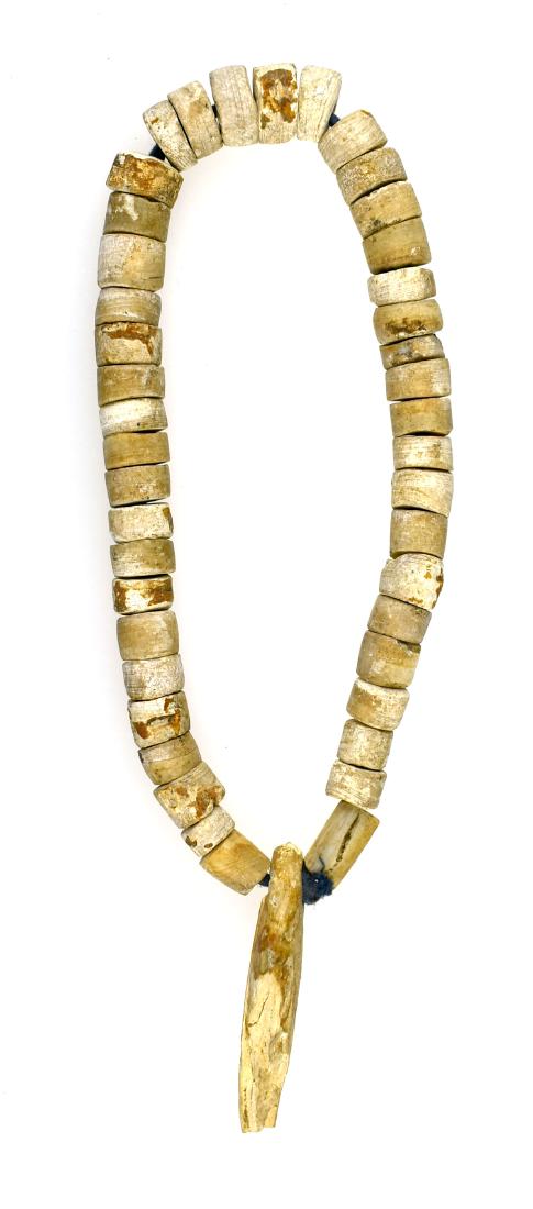 Shell Necklace with Bear Tooth: Excellent Fort Ancient example from Ohio formerly of the Frank Adell Collection. Approx 6.25" in length.