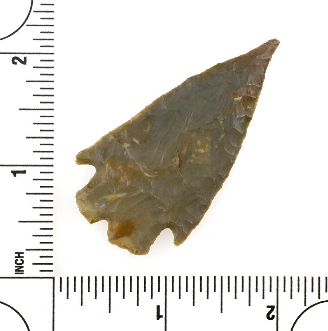 Miraculous 2 3/8" TX Montell - Jackson G-9 COA: Ultra thin with perfect symmetry and an extended needle tip. In our experience, one in a thousand of these tips survive. Made of seldom seen Owl Creek Chert. Found in Central Texas. Ex- Richard Humphr
