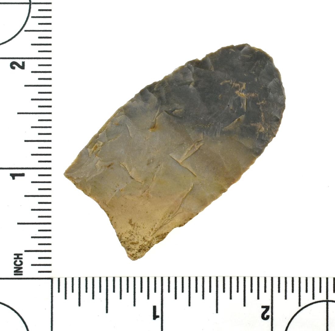 2 1/8" Hazel Variety Clovis: Nice classic rounded tip and minimal fluting on this Hornstone example from Kentucky. Loaded with mineralization.