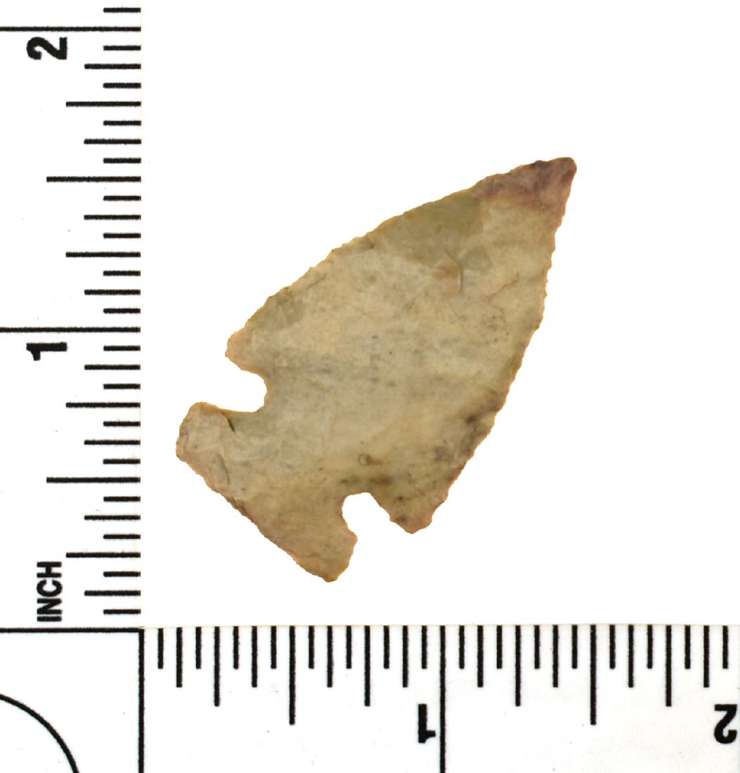 1 5/8" Intrusive Mound: Cream fossil chert example found prior to 1950 from Darke Co., Ohio and formerly of the Frank Adell Collection.