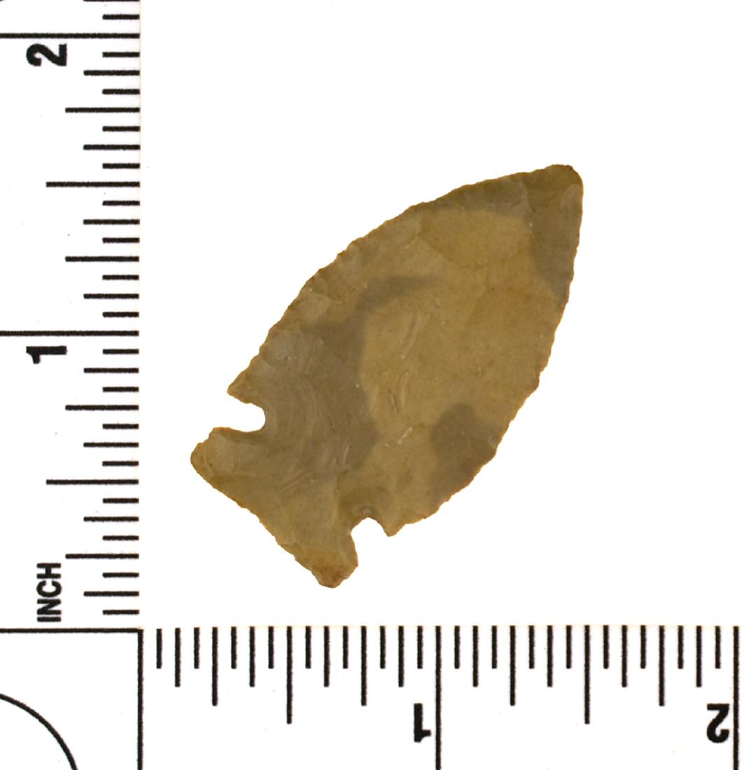 1 5/8" Intrusive Mound: Nice example in a tan flint found prior to 1950 from Darke Co., Ohio and formerly of the Frank Adell Collection.