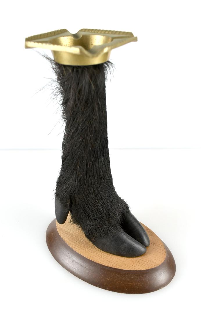 8.5" Hog Taxidermy Ashtray: Now for something completely different! A brass ashtray taxidermy on wooden base made from a Feral Hog Leg. No restrictions we are aware of, however review any your locality may have prior to shipment