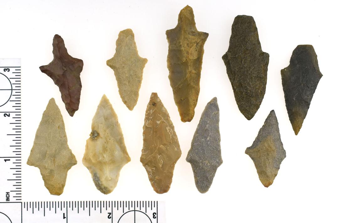 10 Fine Oklahoma Gary Arrowheads: Very pretty materials. A few with great translucency. Biggest measures 2 3/8". All found in Pushmataha Co., Oklahoma.