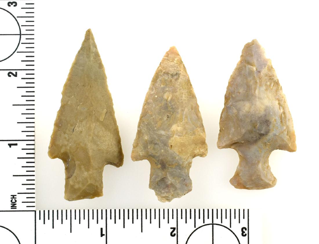 Three Kentucky Buck Creek Arrowheads: Two made of semi-translucent Boyle Chert and the biggest one at 2 1/2" is made of Fort Payne. All intact and excellent. All found in Bourbon Co., Kentucky.