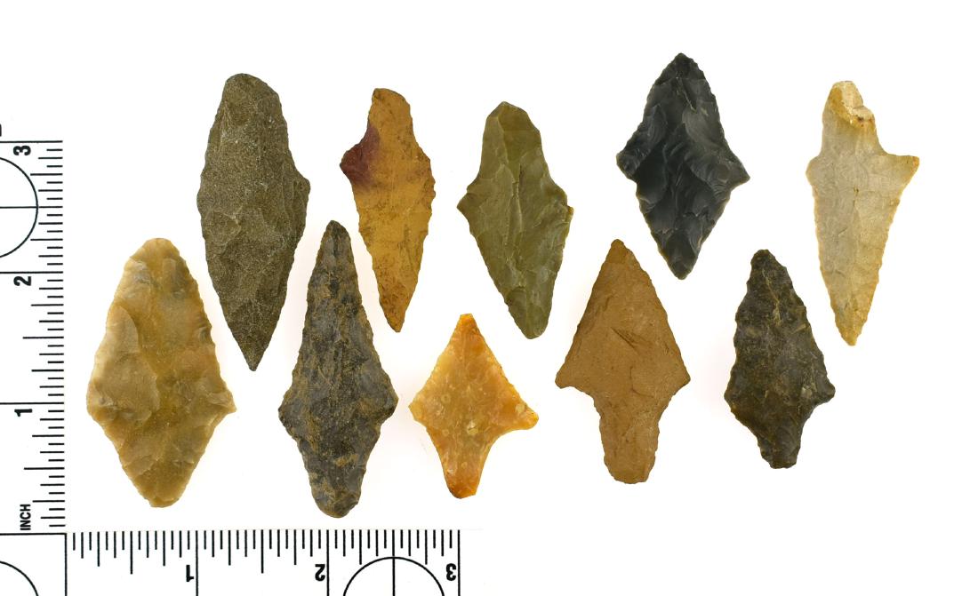 10 Fine Oklahoma Gary Arrowheads: Various materials. Some translucent. Largest measures 2 1/4". All from Pushmataha Co., Oklahoma.