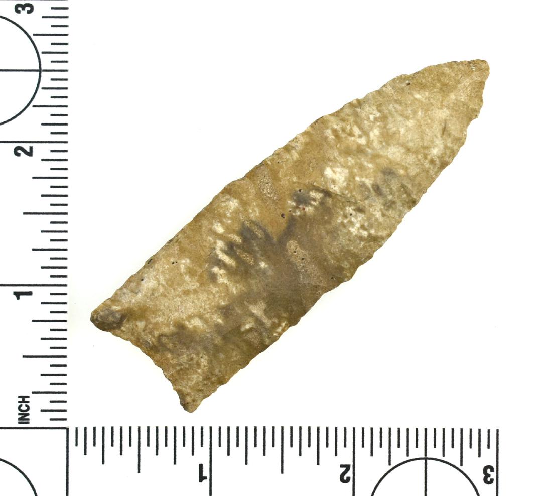 Colorful 3 1/4" Clovis - Jackson G-9+ COA: Expertly crafted. Great color. Made of well patinated tan, cream, and light brown Fort Payne Chert. Fluted 60% on one side and 40% on the other. Found in Dyer Co., Tennessee. Ex- Milton Williams Colle
